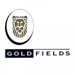 GOLD-FIELDS